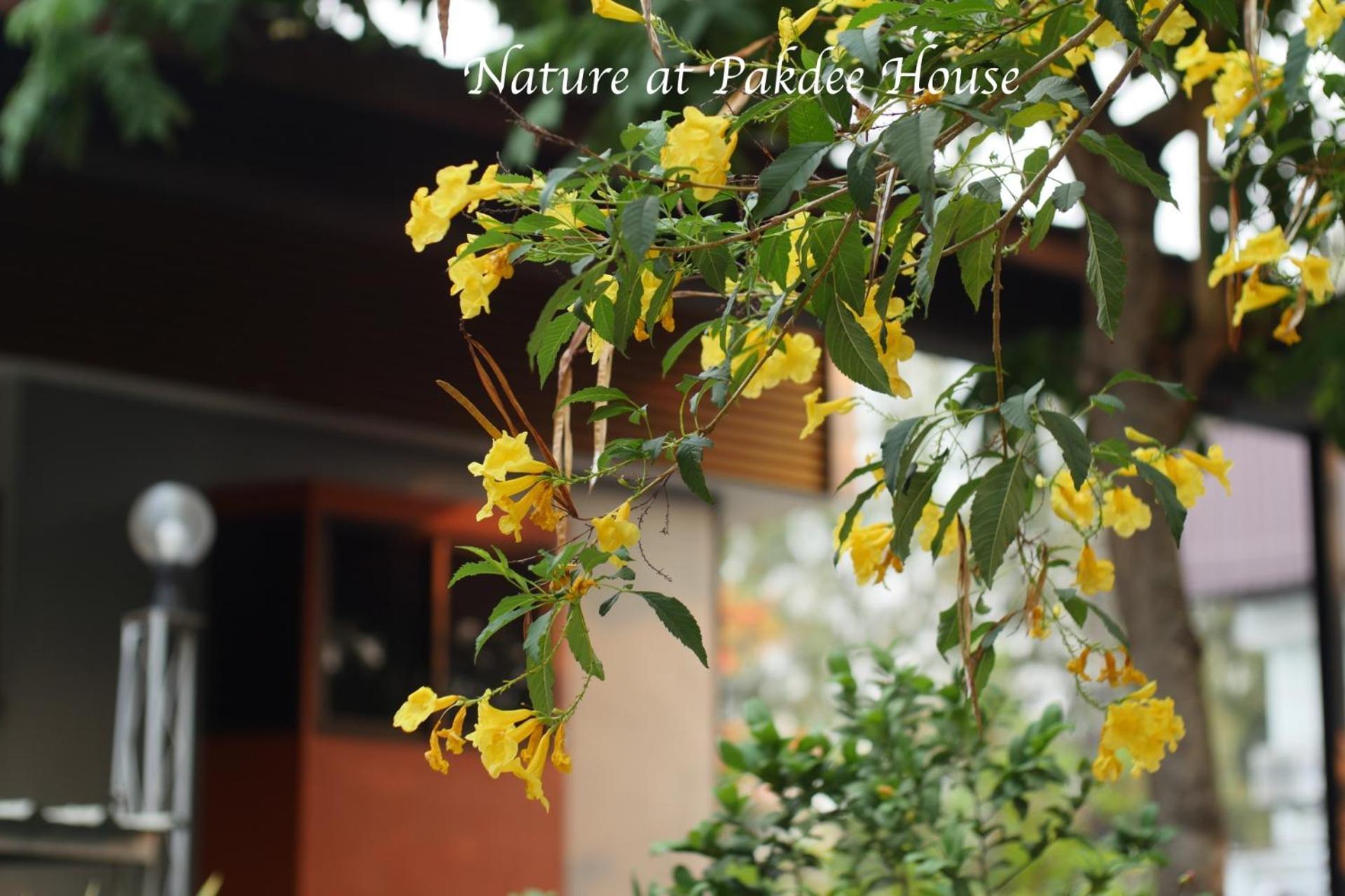 Pakdee House Hotel Udon Thani Ngoại thất bức ảnh
